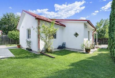 Casă cu 2 camere în Snagov - 8