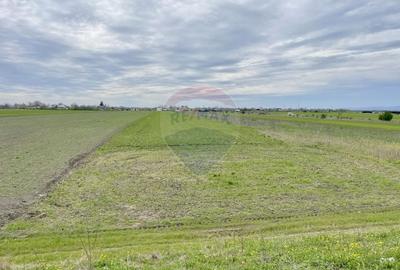 Teren Focsani / Drumul Suraii / Mandresti str Nuferilor - 6
