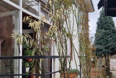 Casă cu 4 camere în Șimnicu de Jos - 7