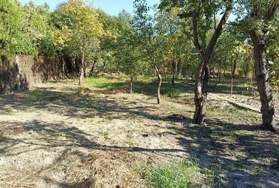 Casă cu 4 camere în Girocului