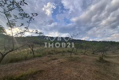 Teren spectaculos cu padure, livada si priveliste panoramica in Soimari PH - 8