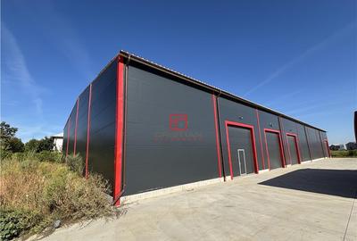 Depozit/hala/spatiu industrial Theodor Pallady - Gara Catel - 4