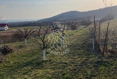 Teren de 3100 mp, în Nimigea - 3