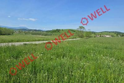 Teren intravilan de 3267 mp, în Barcani - 4