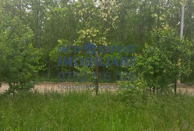 De vanzare: Casa in sat Humule?ti Noi, Targu Neam? - 8