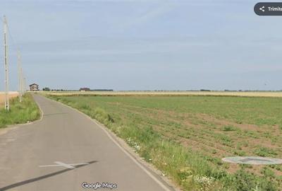 Lot intravilan 668 mp, Popesti Vasilati, la asfalt - 2