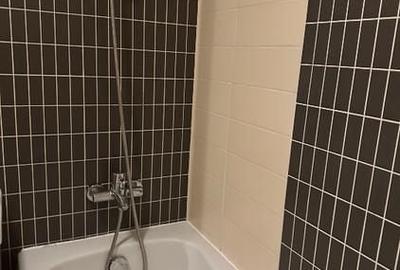 Apartament 2 camere, mobilat si utilat, Crangasi - 13