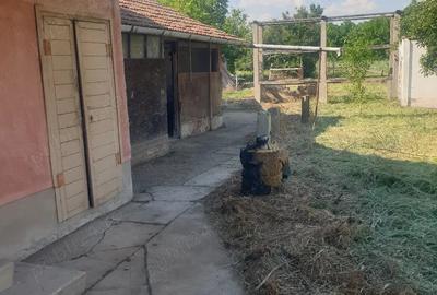 Casă cu 3 camere cu Teren 1200 Mp în Central - 3