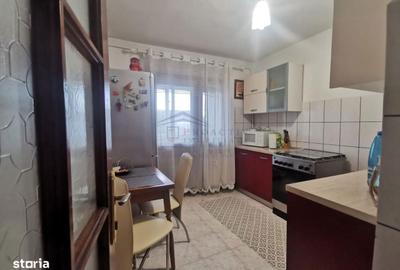 Apartament cu 2 camere decomandat în Paltin - 4