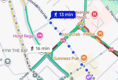 Apartament 2 camere Eremia Grigorescu - 4