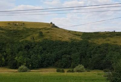 Exclusivitate! Teren intravilan in Luna de sus! - 4