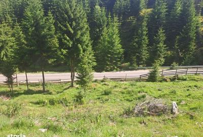 Spațiu comercial, în Măguri - 4