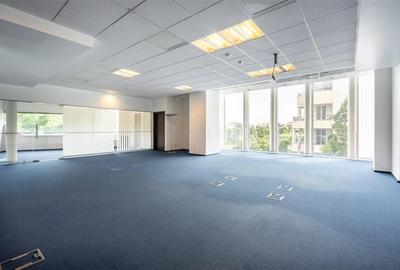 Spatiu de birou -  Piata Charles de Gaulle -  300 mp Spatiu de birou -  Piata Charles de Gaulle -  300 mp - 4