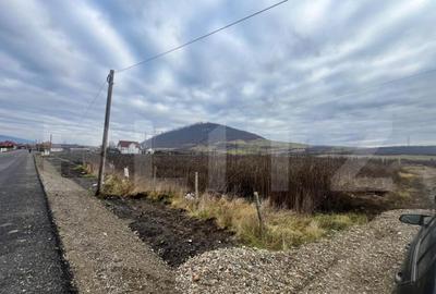 Teren intravilan, 10 ari, ideal pentru casa/hala, zona Sarat - 3