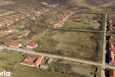 Casă cu 8 camere cu Teren 7235 Mp în Traian Vuia - 19