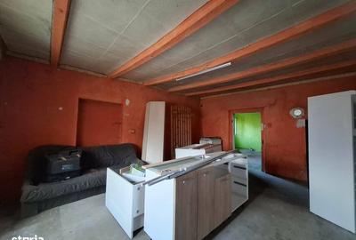 Casă cu 4 camere cu Teren 1347 Mp în Borș - 3