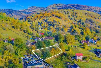 COMISION 0% Teren 1,564mp Moieciu de Jos/ Intravilan - 14