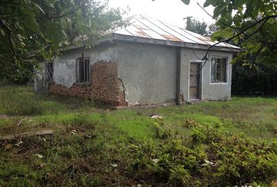 Casa-Spa?iu industrial comercial produc?ie - 1