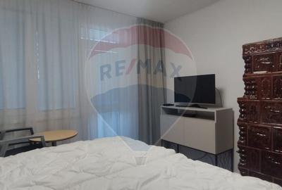 Apartament spatios de vanzare in zona turistica - Sinteu, Bihor - 6