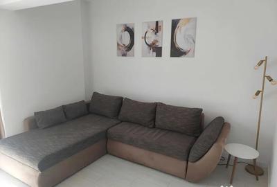 Garsonieră, mobilată în Berceni