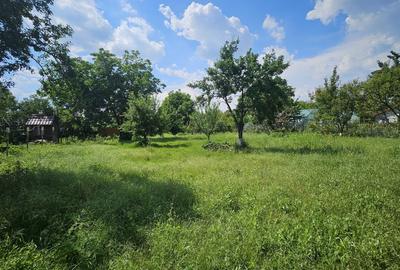 Teren Construcții intravilan de 1400 mp, în Snagov - 9