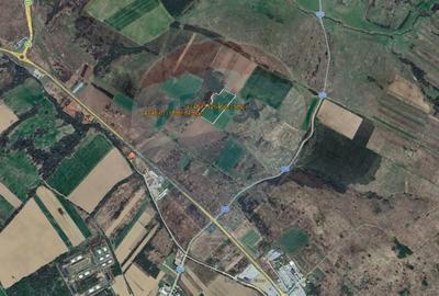 Teren de 28300 mp, în Central