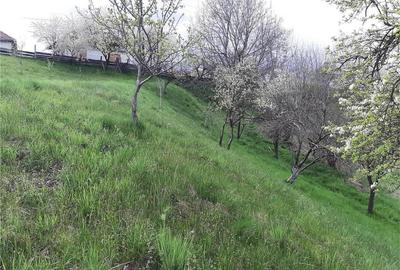 Teren de 1017 mp, în Arpașu de Sus - 2