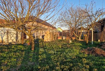 Casă cu 3 camere cu Teren 1540 Mp în Pâncota - 2