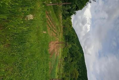 Casă cu 2 camere cu Teren 5500 Mp în Sibișel (Beriu) - 3