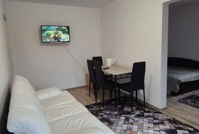 Apartament cu 2 camere semidecomandat în Central - 1