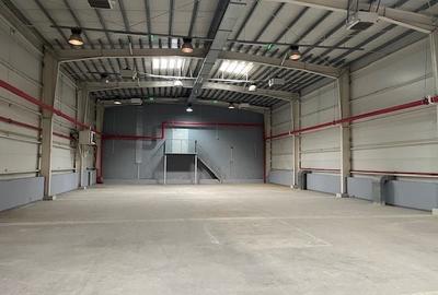 Spatiu depozitare si productie soseaua de centura Odai - 3