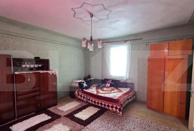 Casa cu teren 32 ari Viile Tecii, la 30 km de Bistri?a - 6