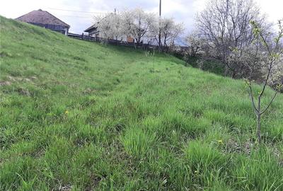 Teren de 1017 mp, în Arpașu de Sus - 7