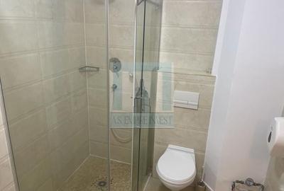 De inchiriat apartament 2 camere Str. Lunga De inchiriat apartament 2 camere Str. Lunga - 15