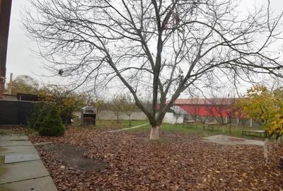 Padureni-Centru-Casa-Pretabil afacere- 980mp - 4