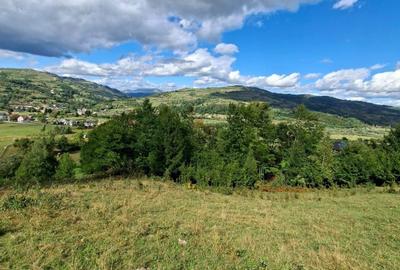 Teren de 27000 mp, în Rebrișoara - 6