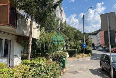 Vand spatiu comercial cu vad foarte bun in Sighisoara situat pe strada Plopilor - 1