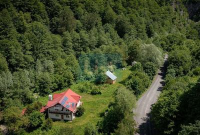 Casă cu 9 camere cu Teren 1029 Mp în Obârșia-Cloșani - 2