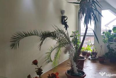 Casă cu 4 camere cu Teren 315 Mp în 22 Decembrie - 4