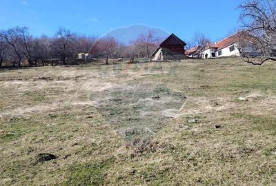 Teren intravilan de 23600 mp, în Inuri - 2