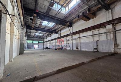 Depozit/hala/spatiu industrial Basarabia - Faur - 2