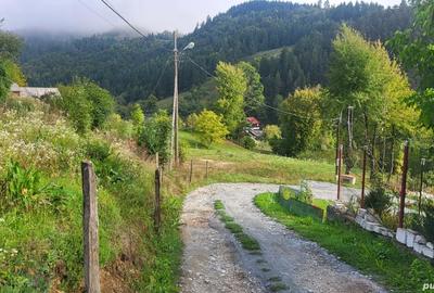 Teren de 1636 mp, în Central - 5
