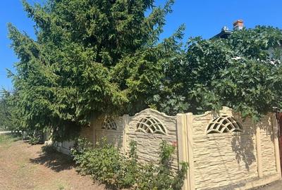 Casă individuală cu 5 camere cu Teren 2000 Mp în Potcoava - 9