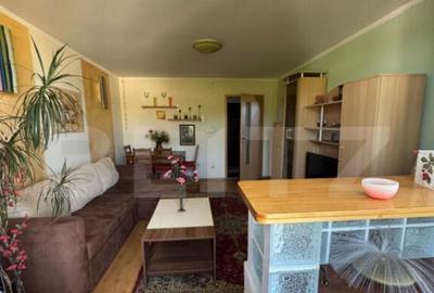 Apartament cu 2 camere, 46,33 mp, zona Brad - 2