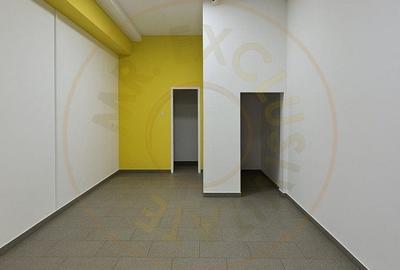 Spatiu Stradal Cu Vad Format Banat- Razboieni - 3