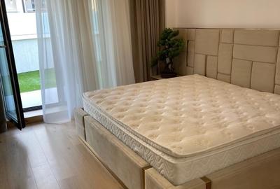 Apartament cu 3 camere si terasa Herastrau - 2