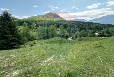 Teren 8500 mp, Valea Dalghiului - Dalghiu - vedere catre Ciucas - 5