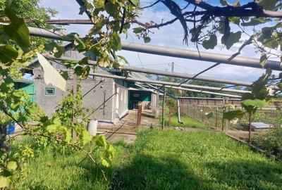 Casă cu 4 camere în Movila - 4