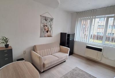 Garsonieră semidecomandată în Noua - 5