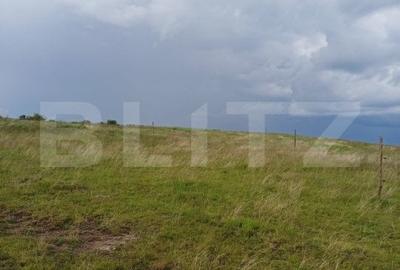 Teren extravilan 1248 mp in Copaceni! Oportunitate investitie! - 3